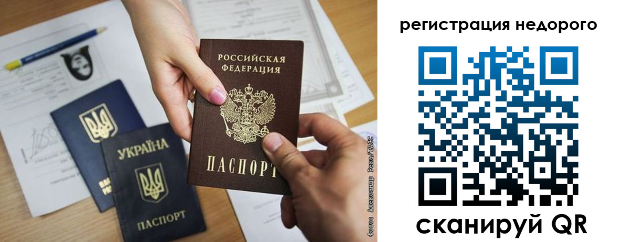 прописка в Вязьме